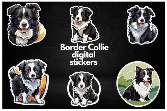 Border Collie Digital Stickers